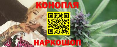 прущие грибы Заводоуковск
