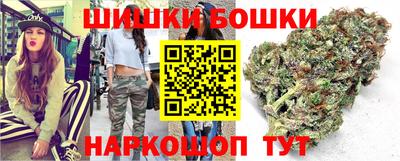 прущие грибы Заводоуковск