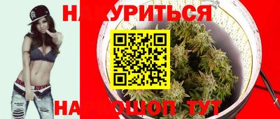 прущие грибы Заводоуковск