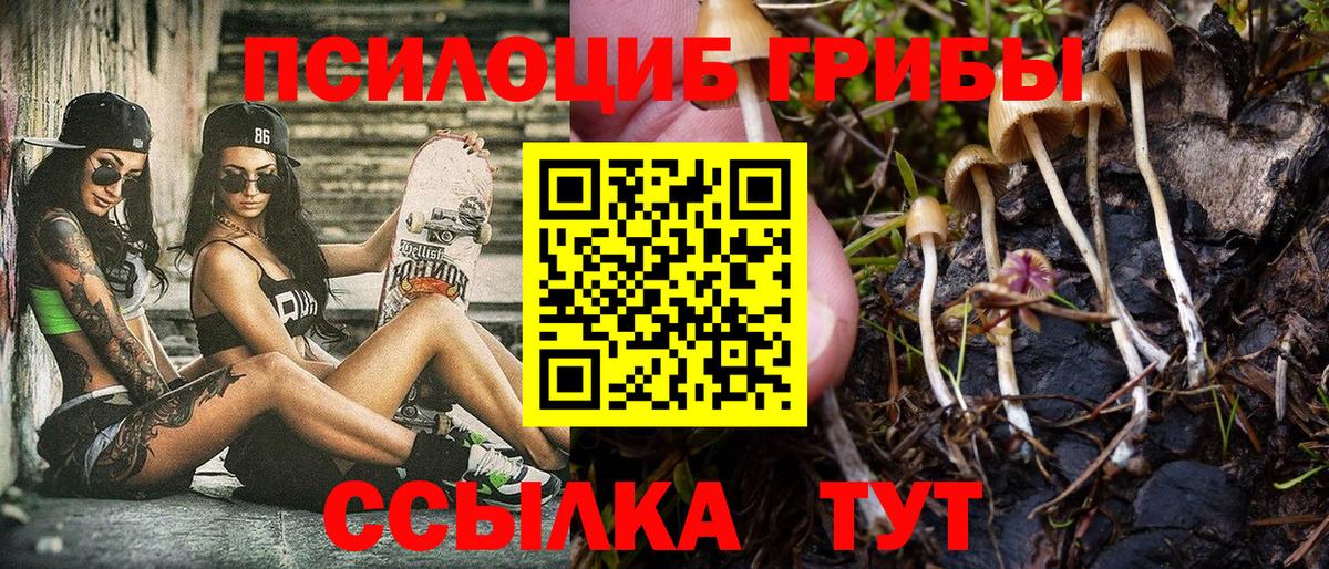 Псилоцибиновые грибы Cubensis  Галлюциногенные грибы Psilocybe  Вход с VPN  Лянтор 