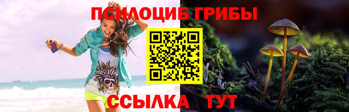 Галлюциногенные грибы Cubensis Лянтор